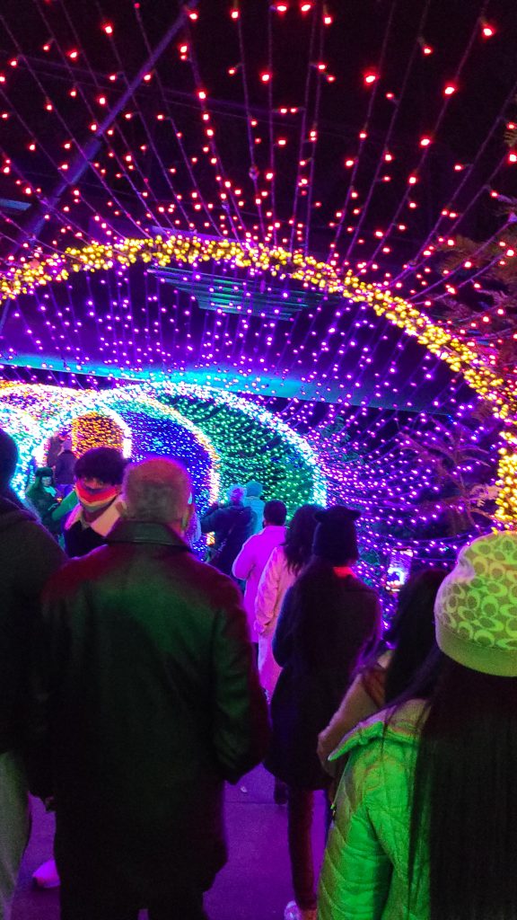 Holiday lights at the Atlanta Botanical Garden